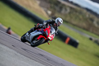 PJ-Motorsport-2019;anglesey-no-limits-trackday;anglesey-photographs;anglesey-trackday-photographs;enduro-digital-images;event-digital-images;eventdigitalimages;no-limits-trackdays;peter-wileman-photography;racing-digital-images;trac-mon;trackday-digital-images;trackday-photos;ty-croes